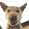 hihihihihihi__02