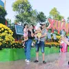 kemsocola_