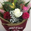 user577806696