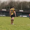 michaelhancox