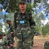 nguyenlinali2022