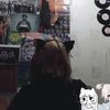 meowkillless