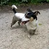 chillmich
