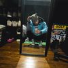 drewgreyy
