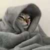shim_tots
