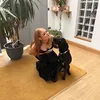 shaunaelliott123