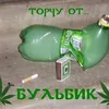 wfhzlx