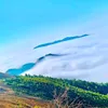 linh_langthang91