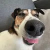 alex_awsomesauce