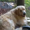 petr20055