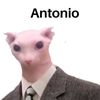futuiborsumatii