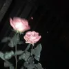 ccrrvv1230