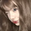 todanpholiulo_._