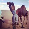 algdaafe