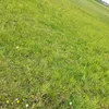 wbijciemi1000obselo