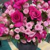 hnoon_788
