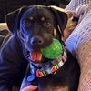 luke_labmaster_mixalot