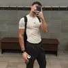 michelozil