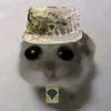 yaboivosche
