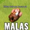 bagianwhenyah