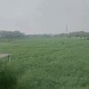 aungkyaw00735