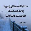 user09733934