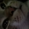 resoiv3
