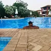 felipesgoes