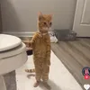 gaeeforwomen