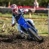 alfie_15mx