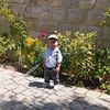 user90819768
