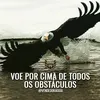 cleonice950