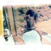 dibby_lou