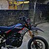 halo_brayy