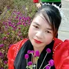 honvithi48