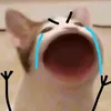 annhobovo