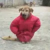 anna.030402
