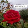 user5196214524471