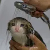 nekozillaow