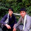ismatkhan8881