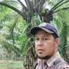 mauliyadijodan