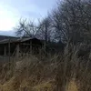 whossnya_