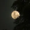 nikos_vertis25