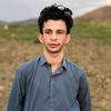 rahim_pashton11