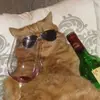 cheekikurva