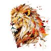 galal_mohamed55