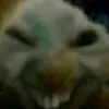 heythigas
