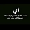 313fatt