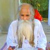 syedshahali2