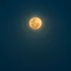 roqa_55